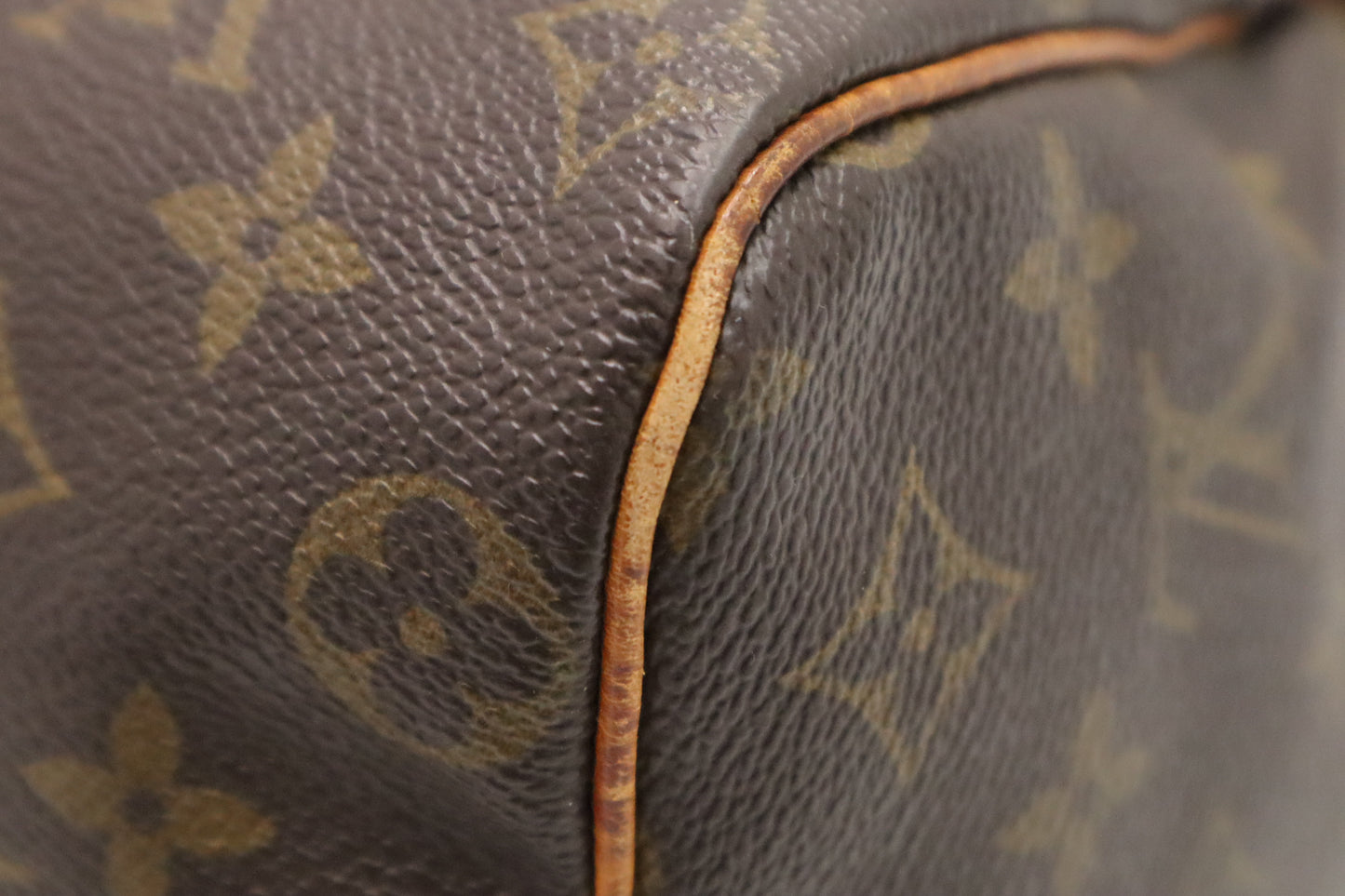 Louis Vuitton Speedy 25 in Monogram Canvas
