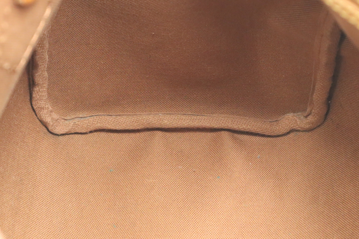 Louis Vuitton Speedy 25 in Monogram Canvas