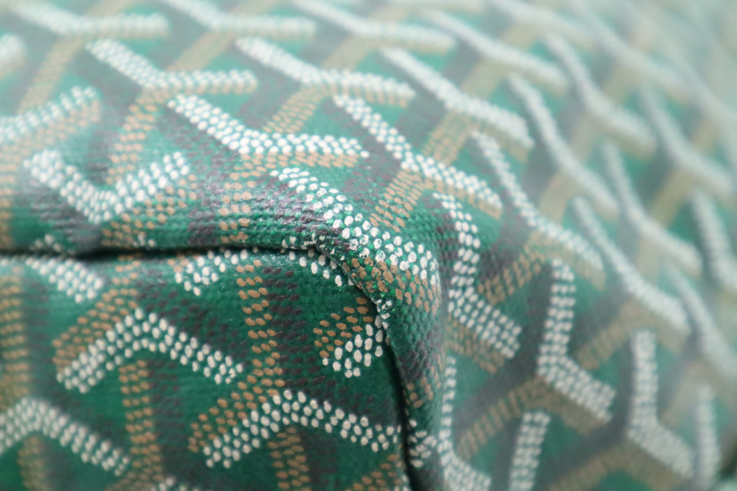 Goyard Saint Louis PM in Green Goyardine Canvas