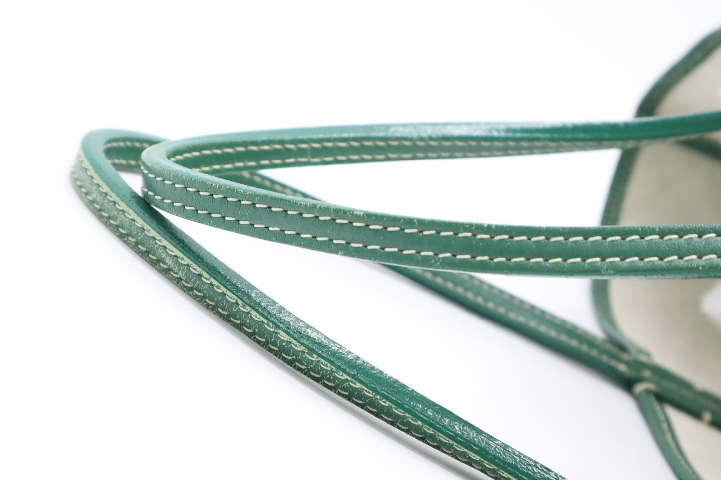 Goyard Saint Louis PM in Green Goyardine Canvas