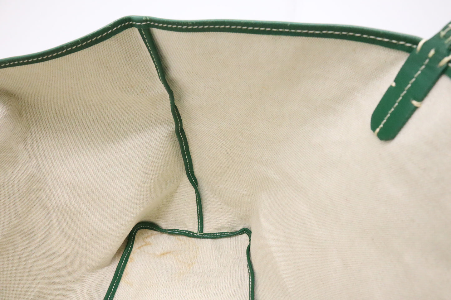 Goyard Saint Louis PM in Green Goyardine Canvas