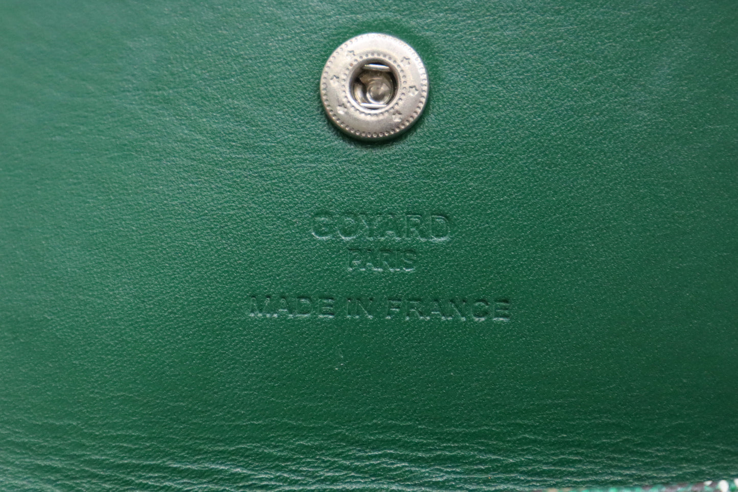 Goyard Saint Louis PM in Green Goyardine Canvas