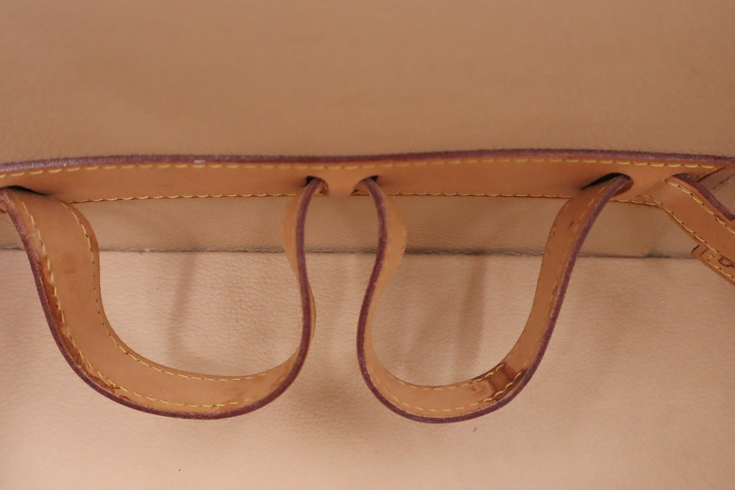 Louis Vuitton Nice Vanity Bag in Monogram Canvas