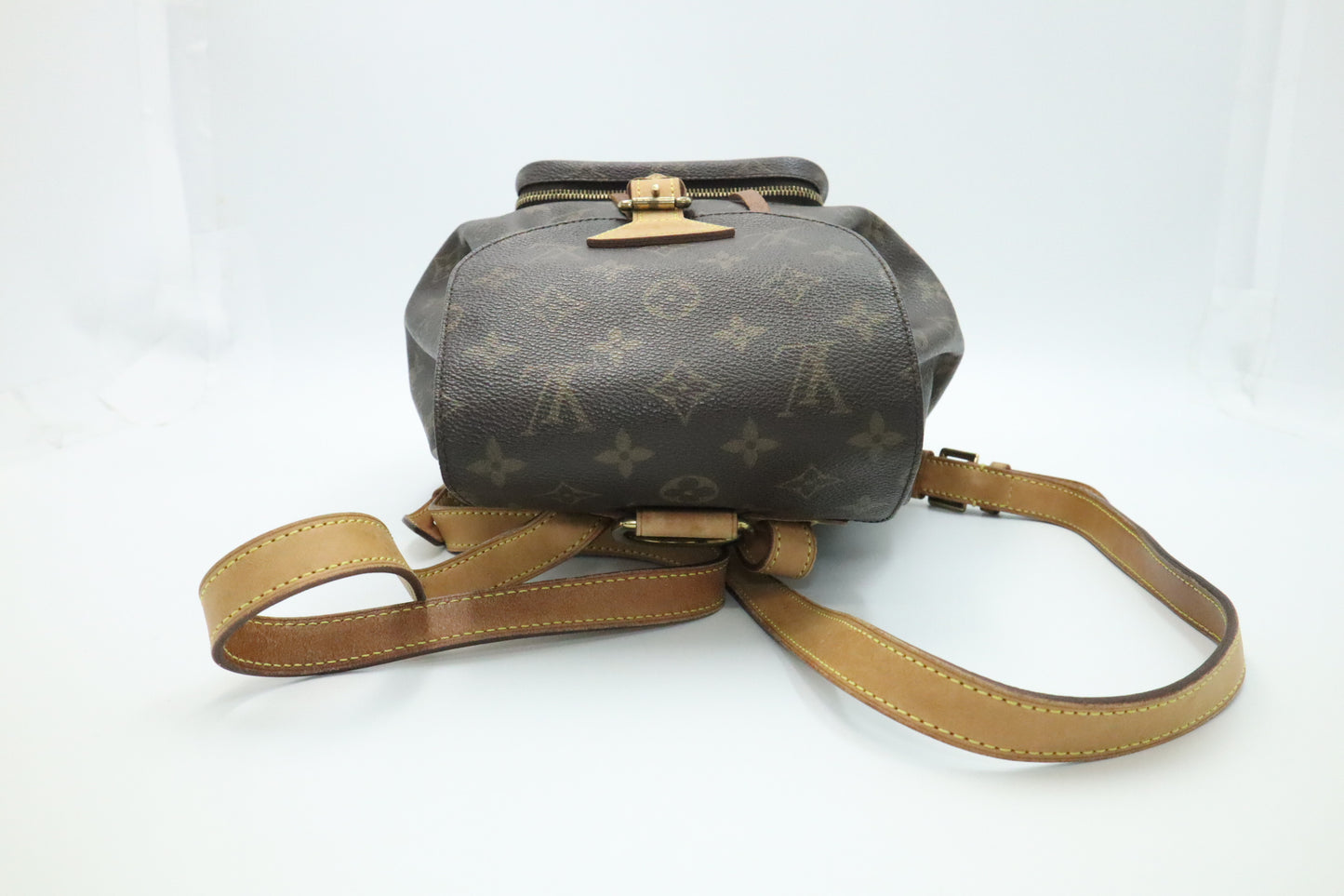 Louis Vuitton Montsouris MM in Monogram Canvas