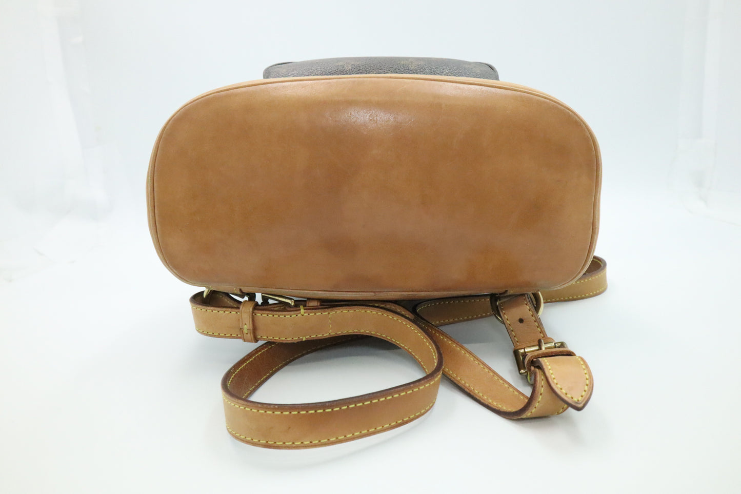 Louis Vuitton Montsouris MM in Monogram Canvas