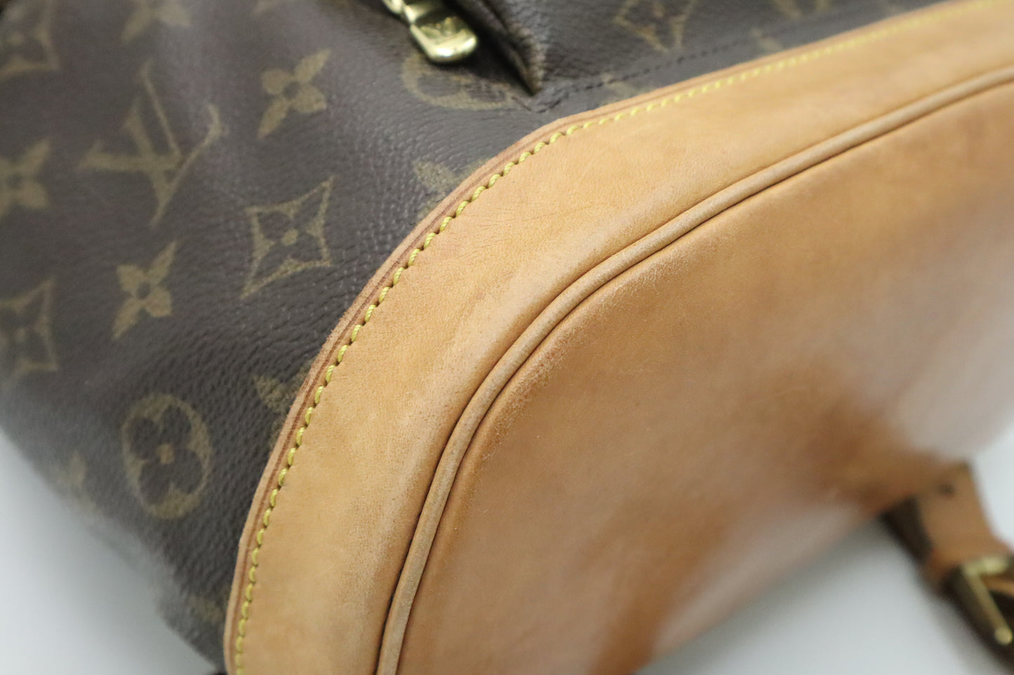 Louis Vuitton Montsouris MM in Monogram Canvas