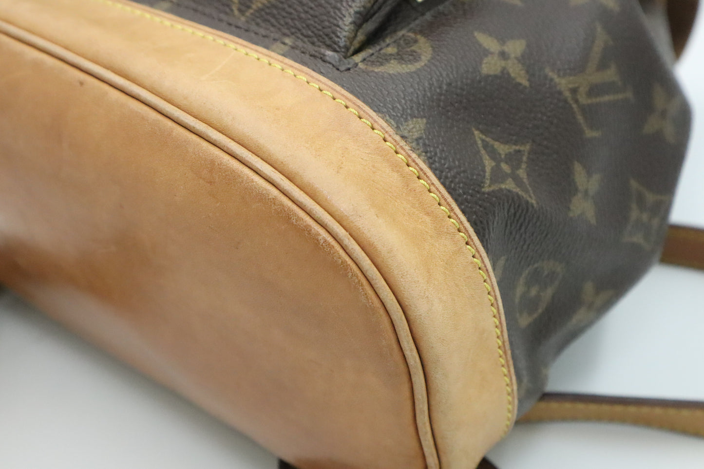 Louis Vuitton Montsouris MM in Monogram Canvas