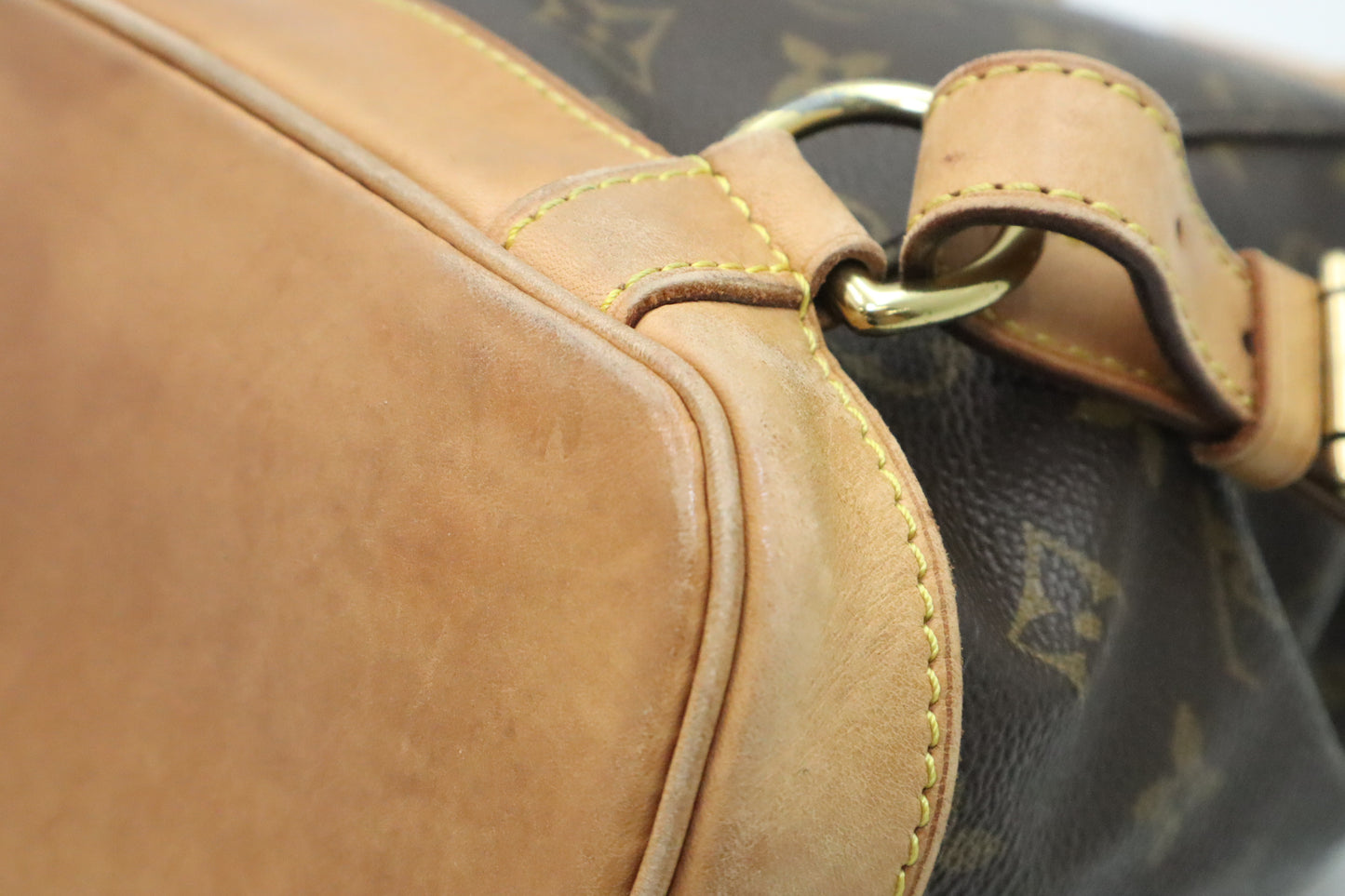 Louis Vuitton Montsouris MM in Monogram Canvas