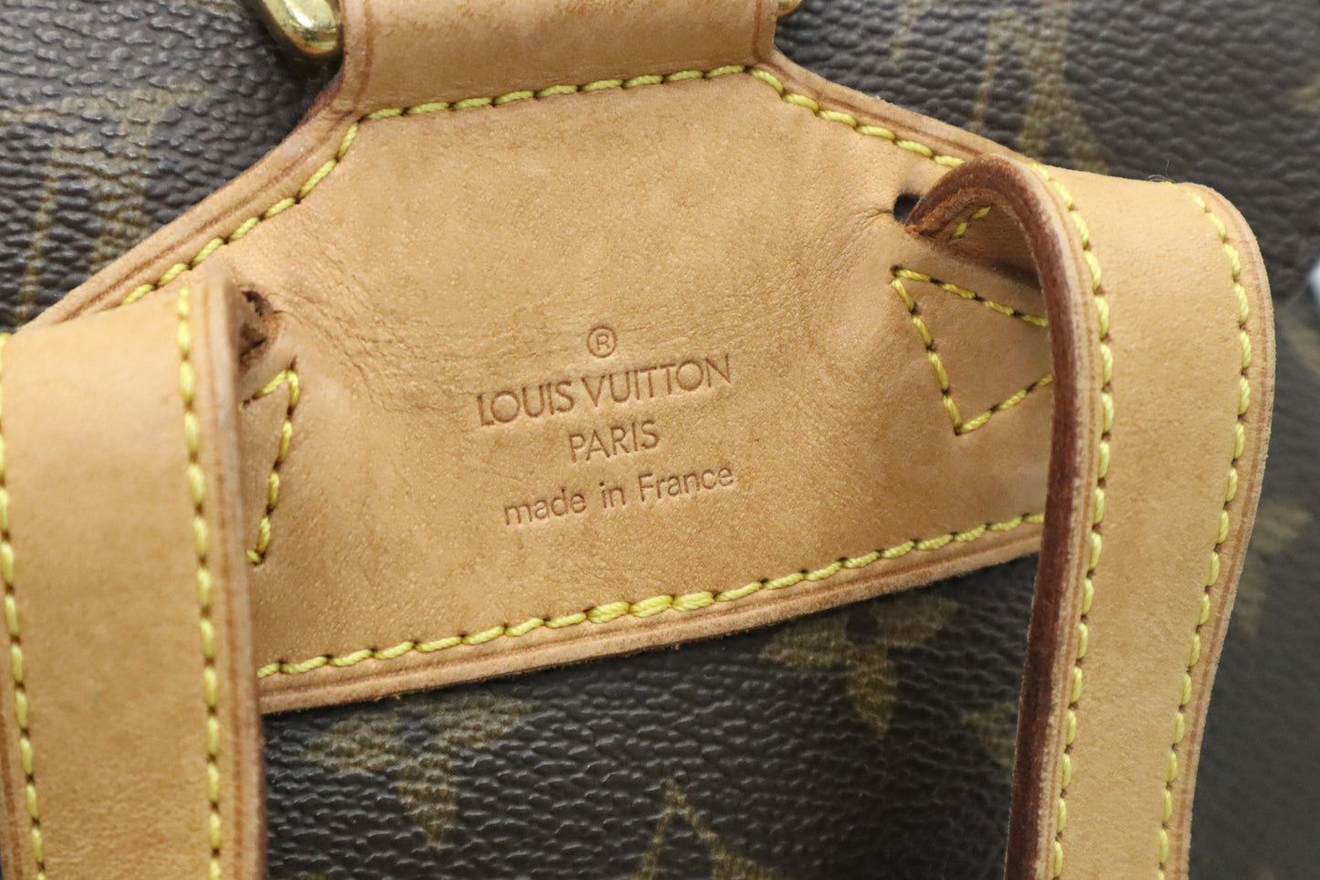 Louis Vuitton Montsouris MM in Monogram Canvas