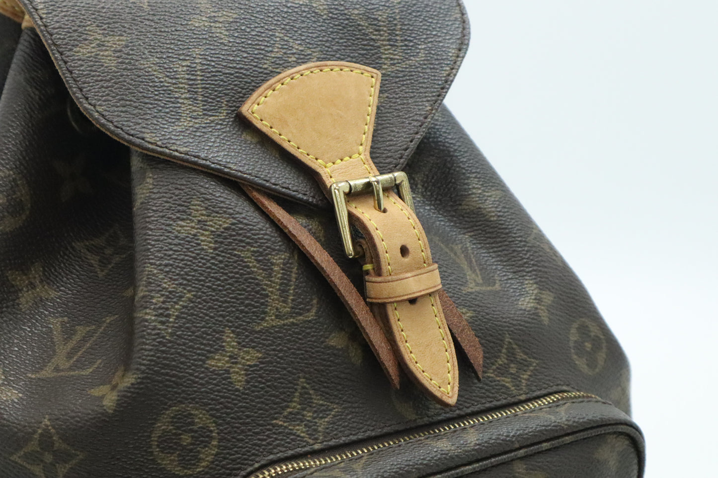 Louis Vuitton Montsouris MM in Monogram Canvas