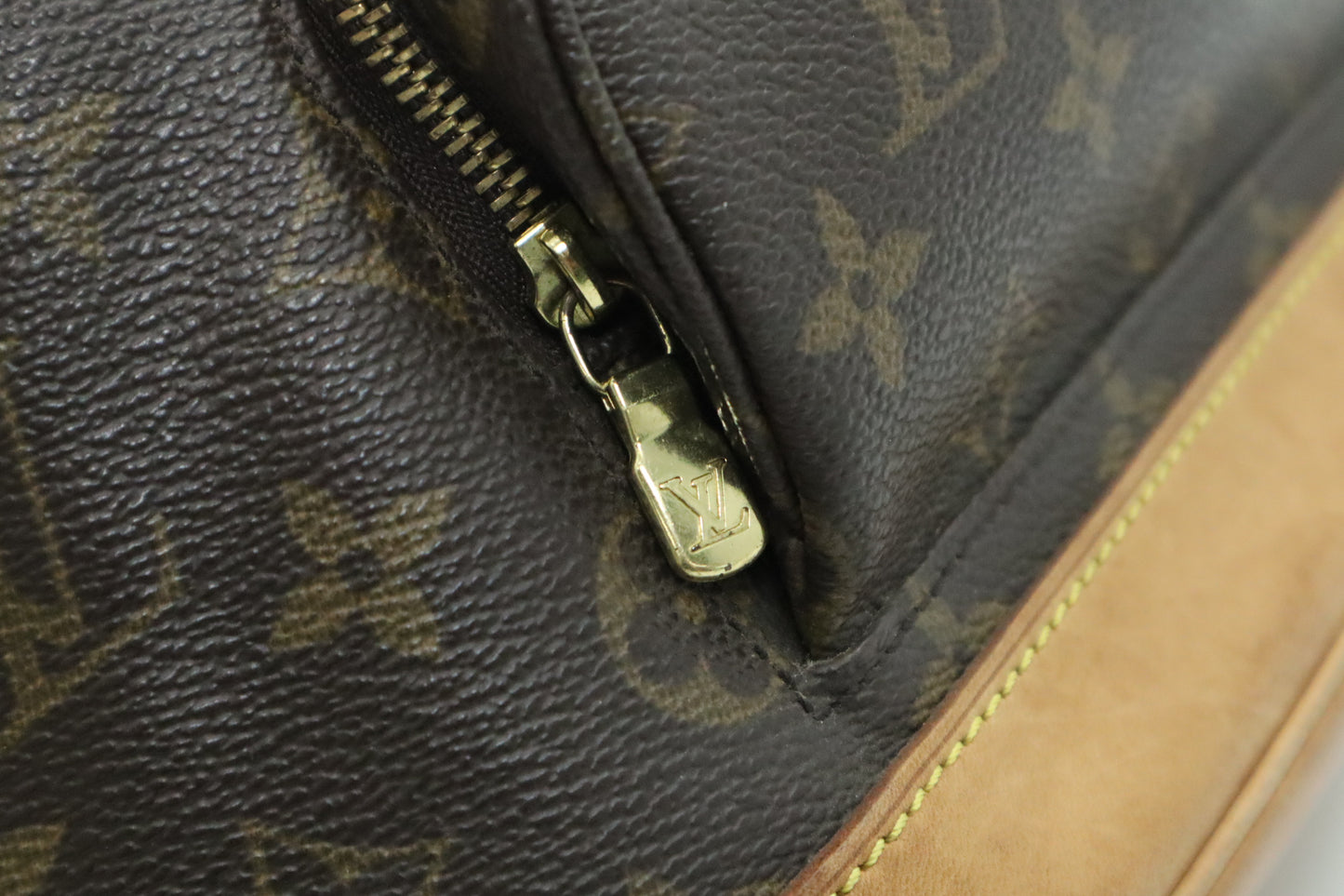 Louis Vuitton Montsouris MM in Monogram Canvas