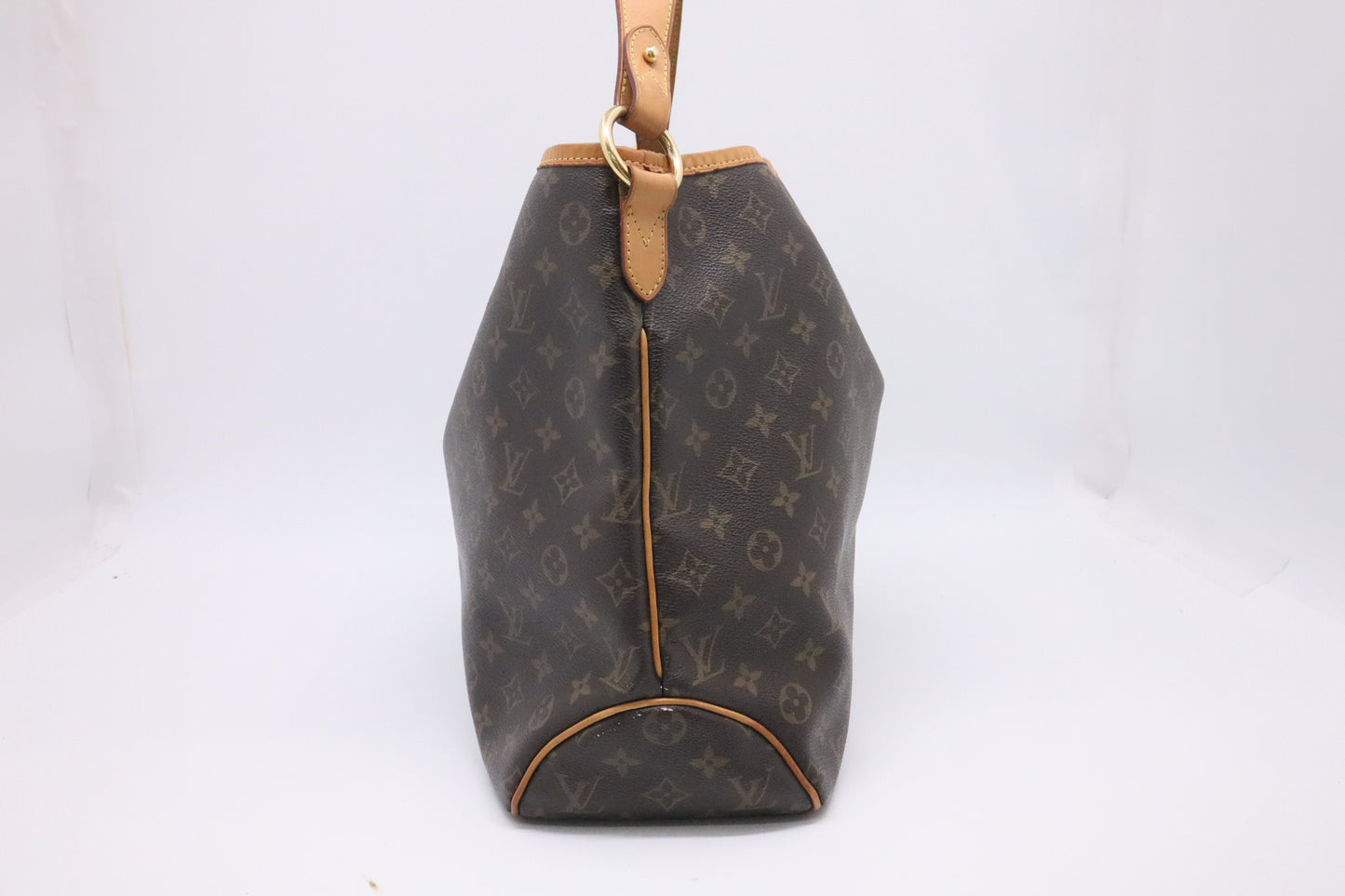 Louis Vuitton Delightful MM in Monogram Canvas