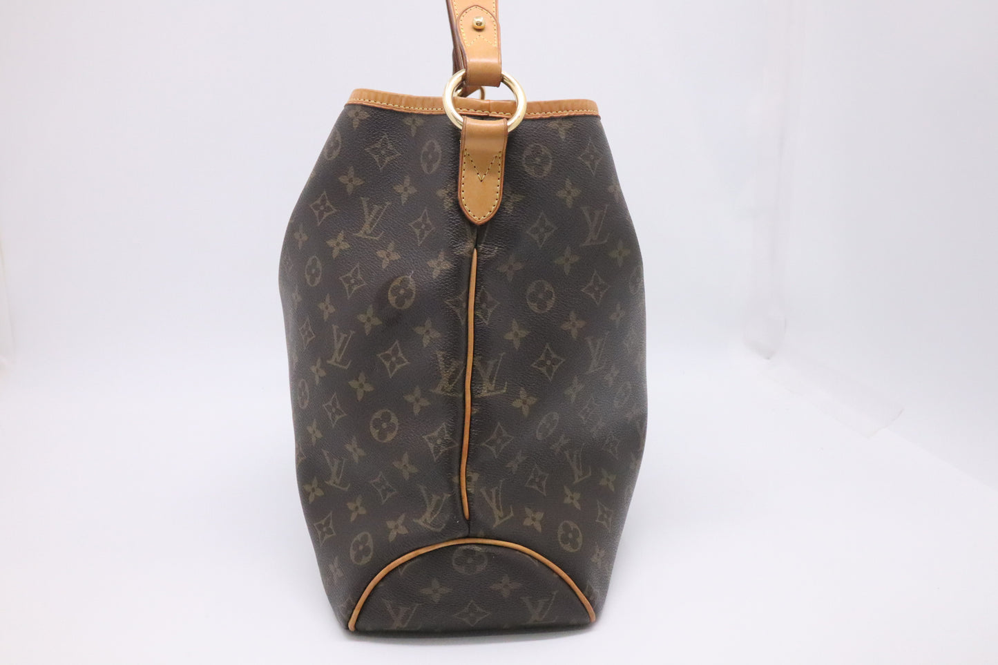 Louis Vuitton Delightful MM in Monogram Canvas