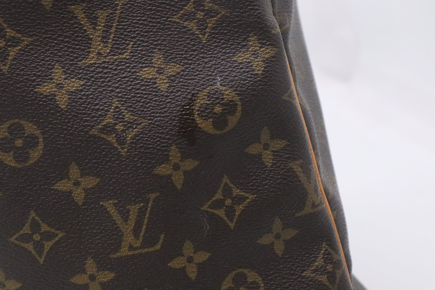 Louis Vuitton Delightful MM in Monogram Canvas