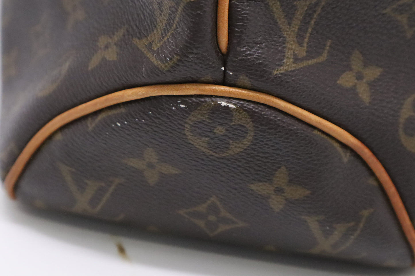 Louis Vuitton Delightful MM in Monogram Canvas