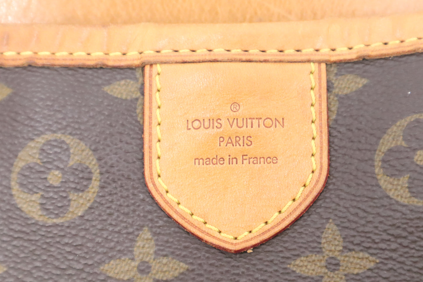 Louis Vuitton Delightful MM in Monogram Canvas