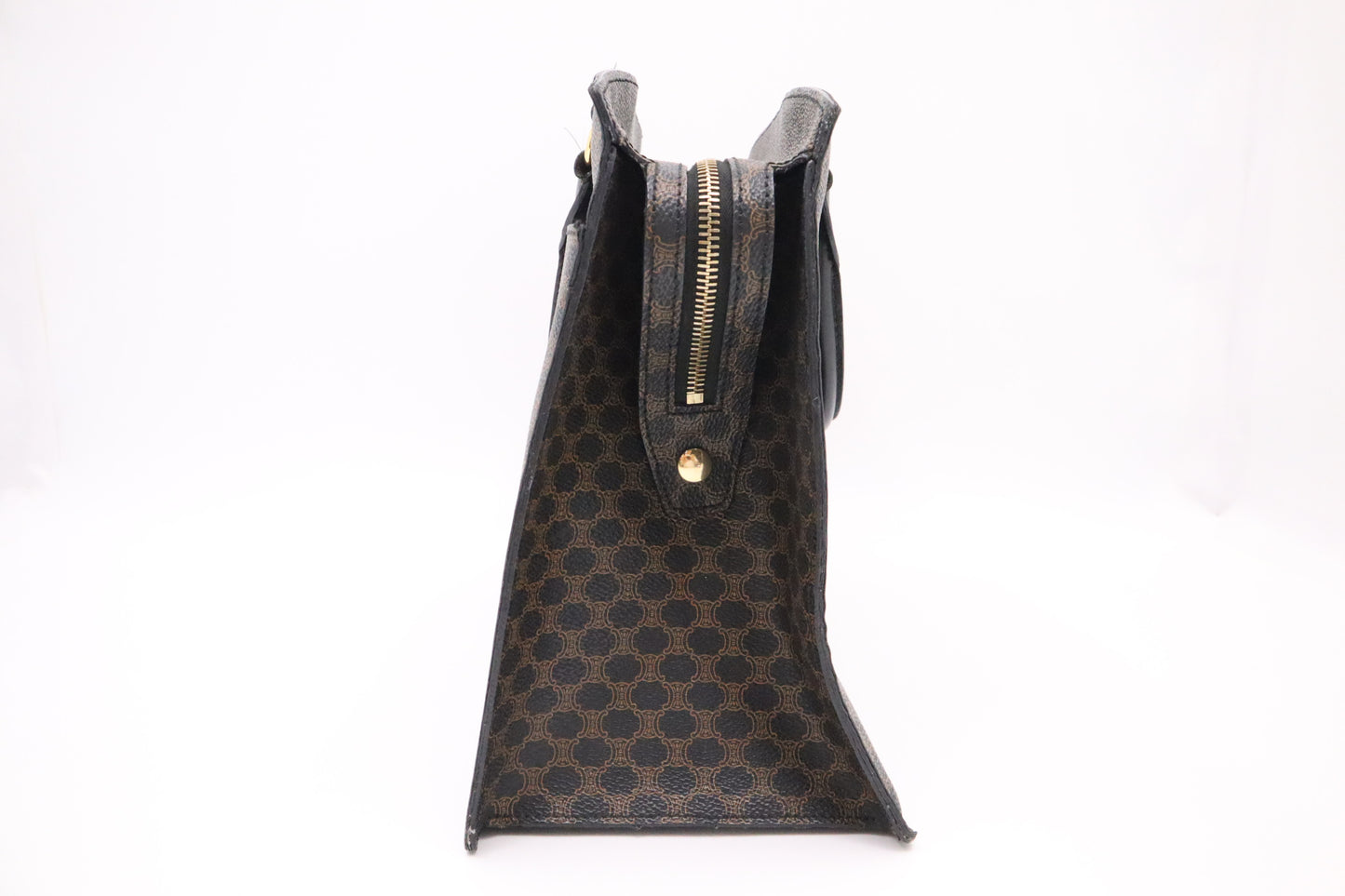 Celine Handbag in Triomphe Canvas
