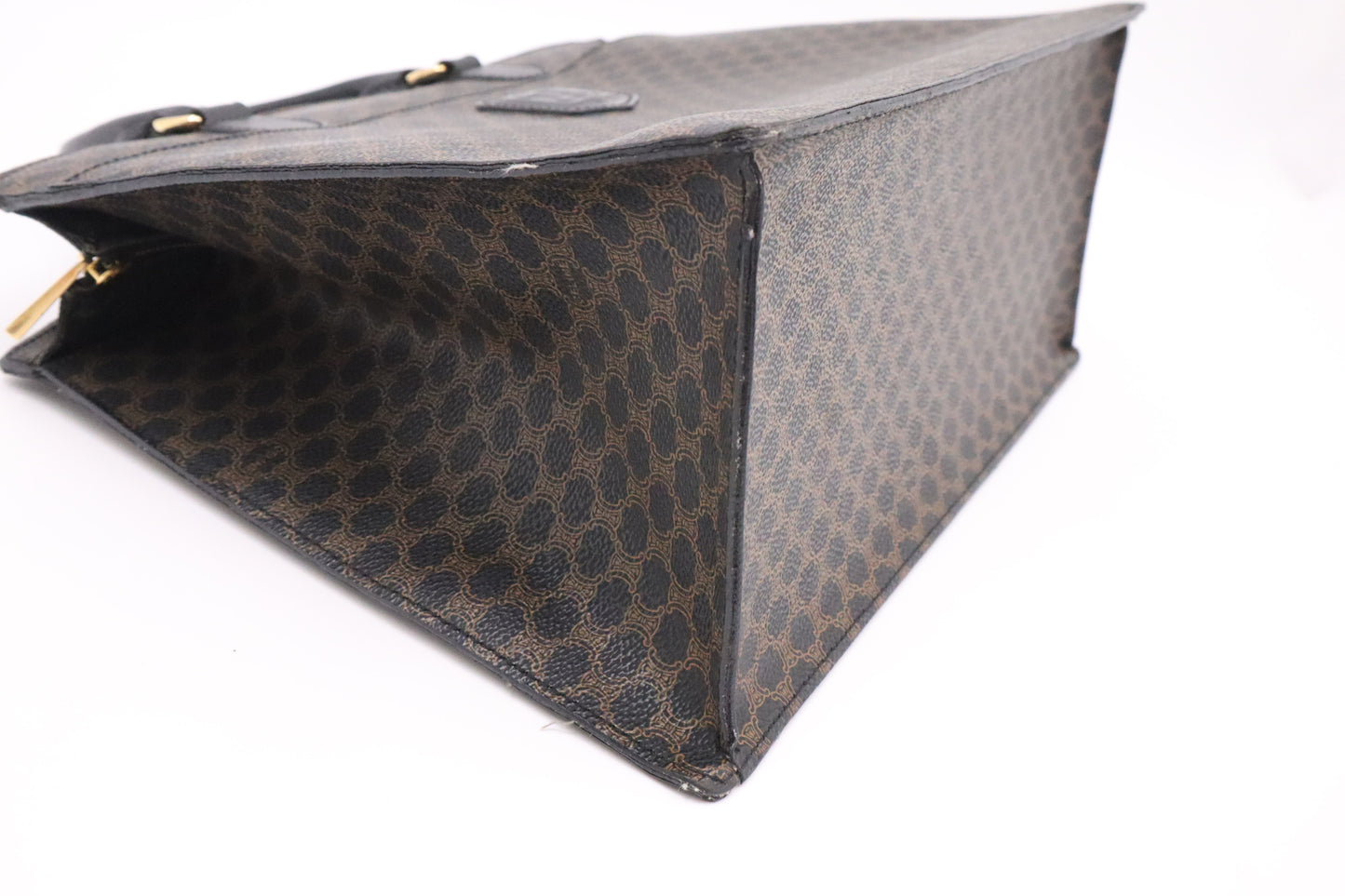Celine Handbag in Triomphe Canvas