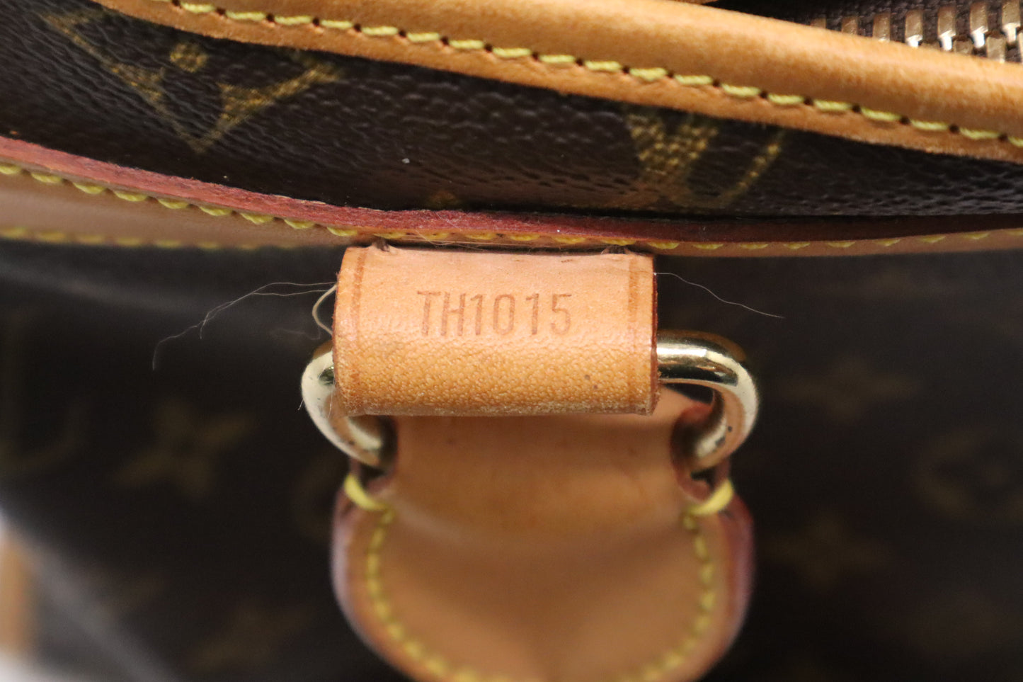 Louis Vuitton Sac Chien 40 in Monogram Canvas