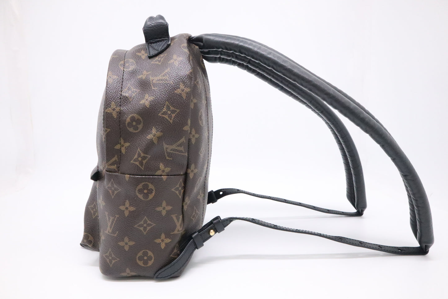 Louis Vuitton Palm Springs Backpack PM in Monogram Canvas