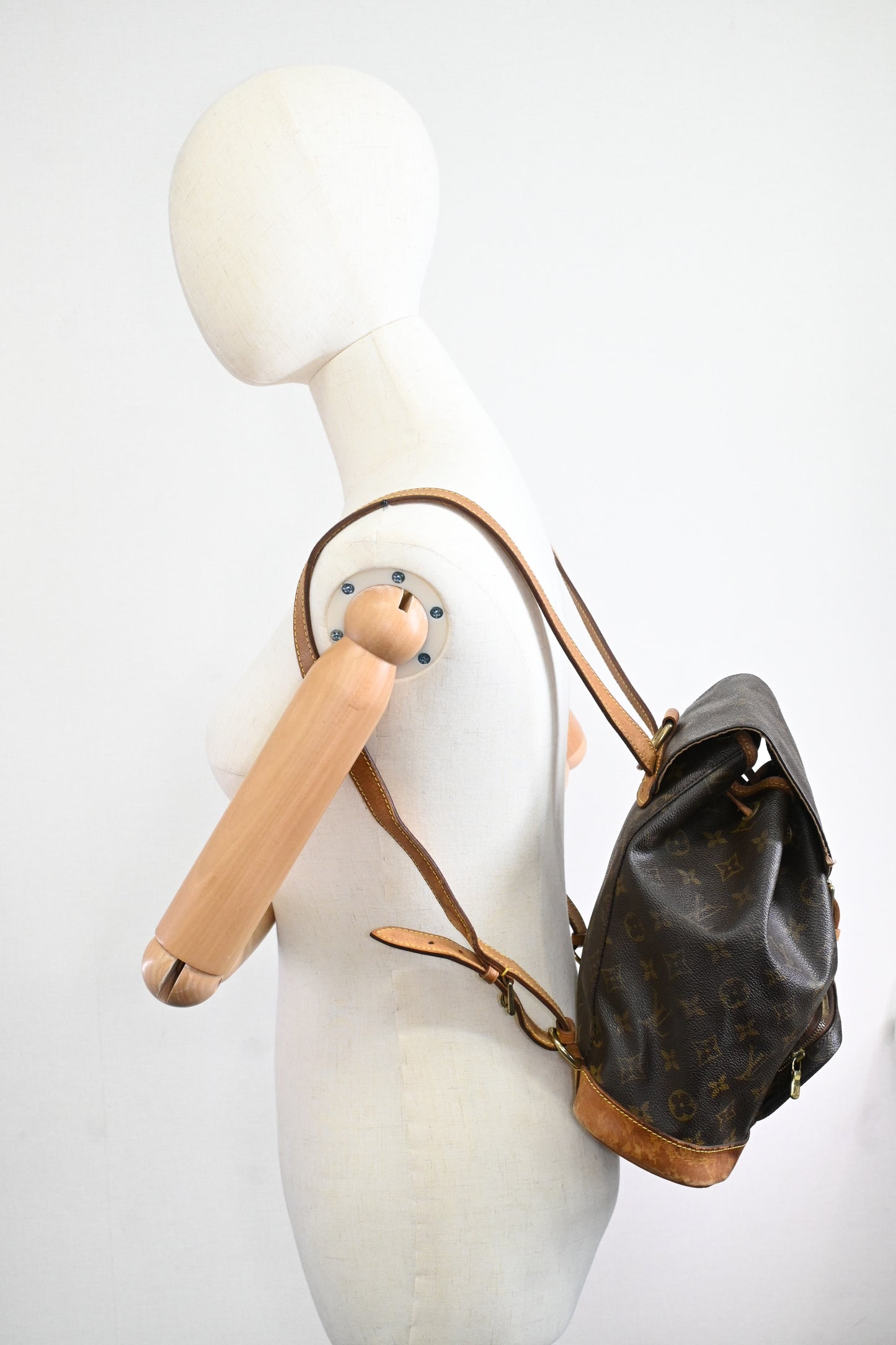 Louis Vuitton Montsouris PM in Monogram Canvas