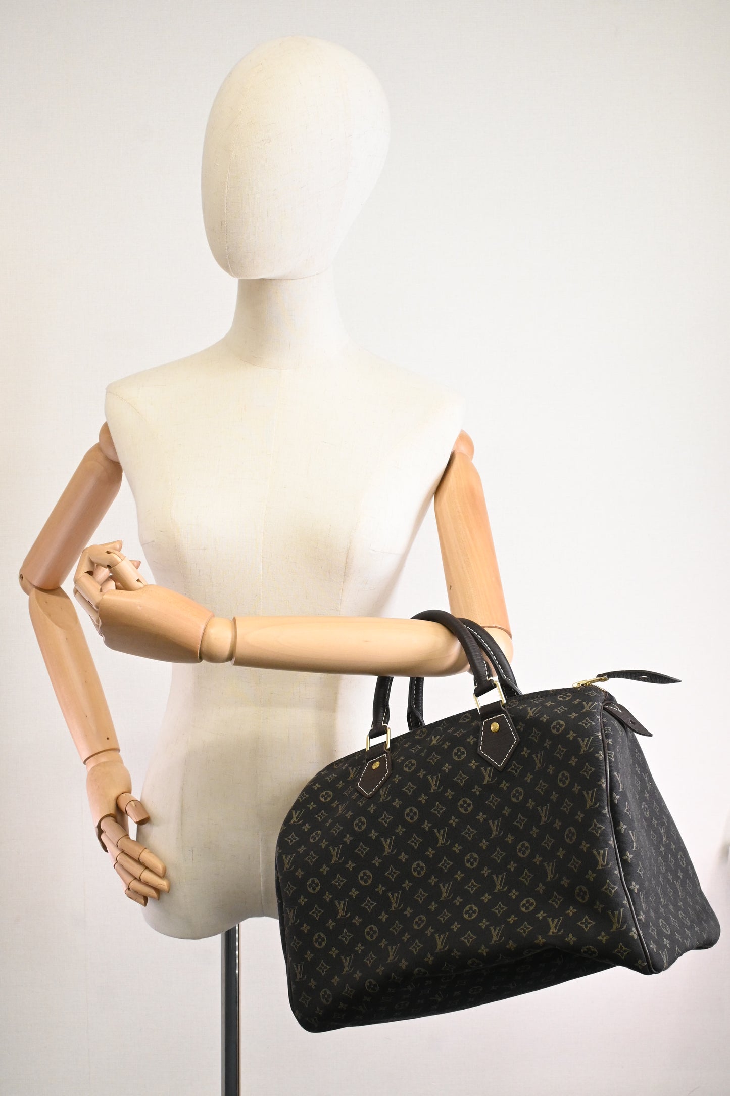 Louis Vuitton Speedy 30 in Fusain Minilin Canvas