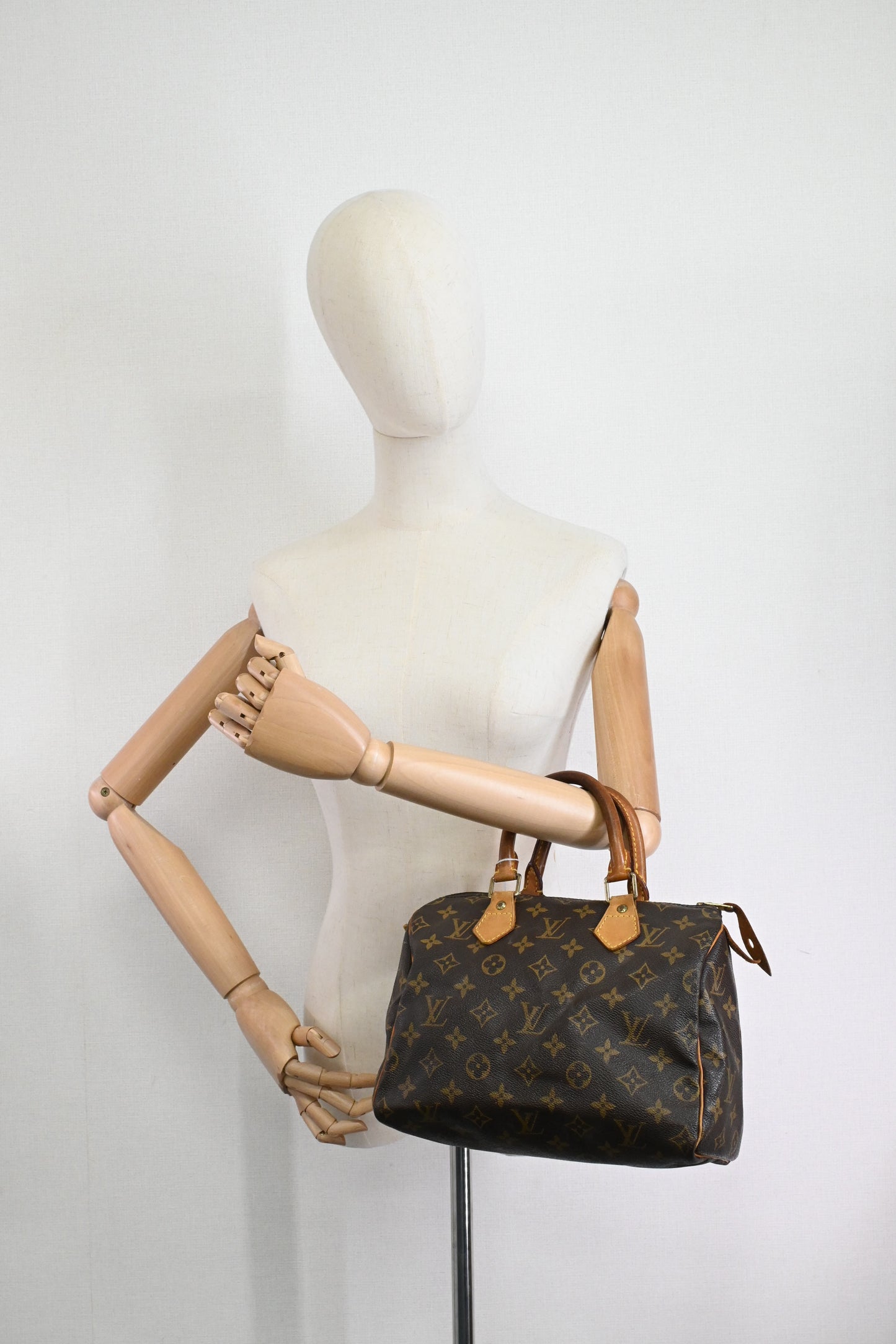 Louis Vuitton Speedy 25 in Monogram Canvas